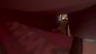 Peeing my boxers - viewed from inside!