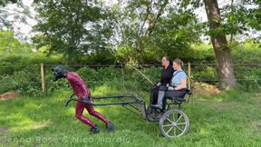 Sulkyfahrt mit zwei Reitherinnen.🐴