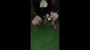 Crossdresser en una fiesta hace pipí en el patio