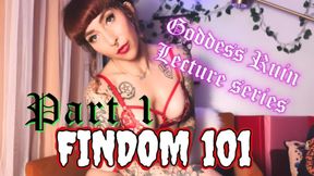 FinDom 101 Lecture: Part I