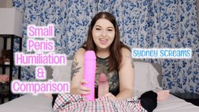 Small Penis Humiliation and Comparison - An SPH scene featuring: verbal humiliation, dick comparison, laughing, dick slapping, and brat girls - 720 WMV