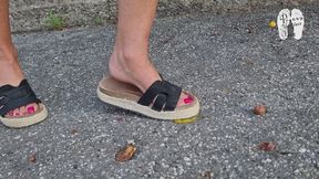 Fruits on her Way