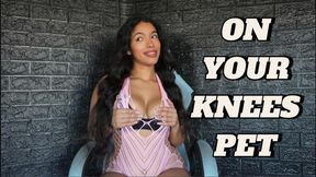 ON YOUR KNEES PET