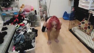 Crystal shackled and getting down on all fours