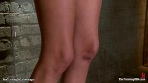 ”Trainer making perfect tart in dungeon”