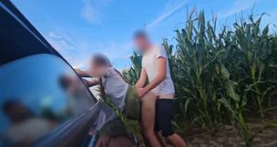 levrette contre la voiture