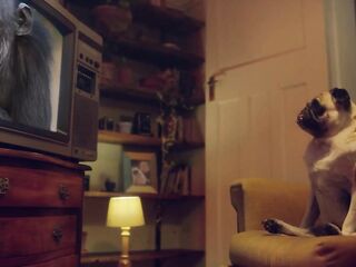 BENEFIT MONKEY: Eden Ivy sucks my shlong and makes me lustful with her blue eyes