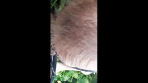 Gringo Tourist Deepthroats Big Dick By The Beach In Amateur Gay Fun