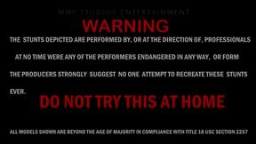 SHELVEN CINAMON SATELITE STORE VERSION