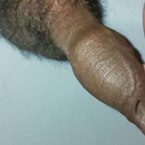 See my cock 04