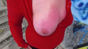 Red tits beside the train station