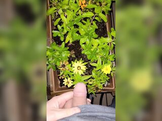 Watering The Planter! two《4k》