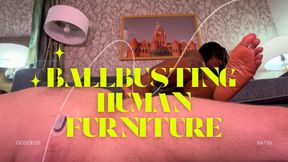 Ballbusting Human Furniture Ignore | Ebony Femdom CBT Female Domination Goddess Sadistic Satin