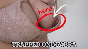 Bouncing Boobs Trap Tiny Gummy Bears in My Bra – Big Natural Breasts Shake and Jiggle as Candy Gets Lost Inside, Boobplay POV and Bra Stuffing Fantasy