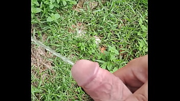 Mijando de pau duro