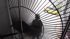 Two attractive lesbian friends get spanked and drilled with a sex toy