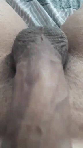 The Amazing Dick