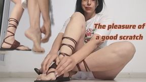 The pleasure of a good scratch
