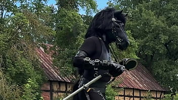 PonyPlay Cart Pulling 1
