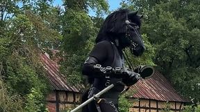 PonyPlay Cart Pulling 1