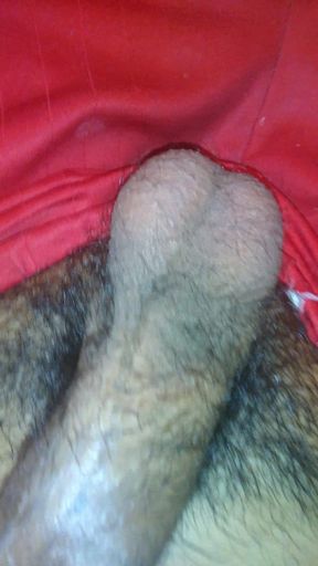 My Cock in 4K