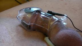 electro estim: caged-cock bend-right-way short