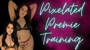 Pixelated Premie Training