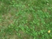 Desperate, wouldn't have made it inside - trans piss