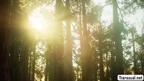 Sexy t-girl barebacked by stranger in woods