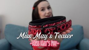 Miss May's Pup