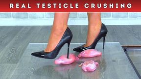 Four Stilettos vs Three Testicles (248) - Feet Cam - Balls Ball Testicle Trample Trampling Castration Food Crush Crushing Shoe Heel Heels Fetish
