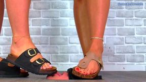 Lick Our Birkenstocks Clean As We Stomp On Your Face - 198 Face Cam - Trample Trampling CBT Crushing Crush Busting Worship Standing Sandals Feet Foot