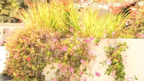 Pussy hungry dykes orally seducing after swimming in the pool