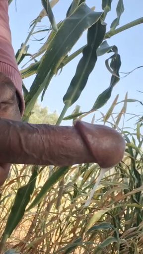 Gangal me mangal   Clip 1