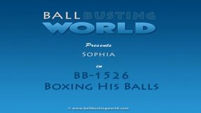 Sophia Boxing Ballbusting BB1526