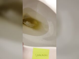 Lavatory Seat Screw and Ruined Orgams