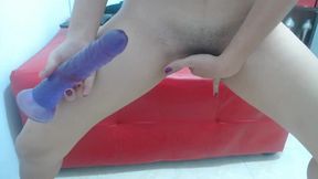 Ginger Jobs Private Show