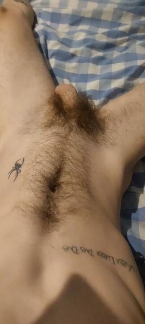 Uncut cock and hairy pubes from my pov