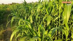 kannada Motivational and inspirational story I kannada story I kannada kathegalul moral stories