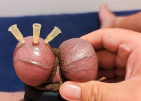 Testicle Skewering CBT, Edging &amp; Cumshot with 3 Needles, Precum &amp; Stretched Balls