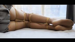YT1921 A Woman In Her Thirties Is Physically Superior