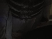 A Furry Humps a pillow...... He Lost NNN