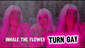inhale flower turn gay