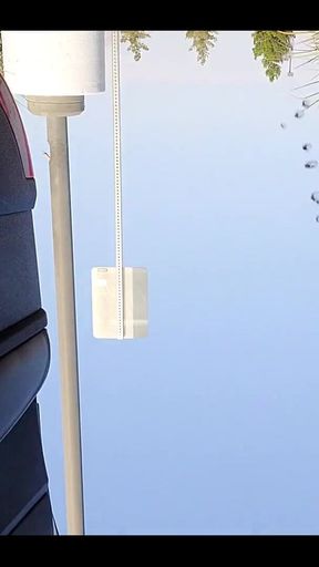 Roadside Service for Thirsty Bitches.