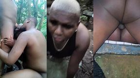 fui levar os ursos para conhecer o parque