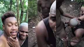 fui levar os ursos para conhecer o parque