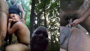 fui levar os ursos para conhecer o parque