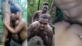 fui levar os ursos para conhecer o parque