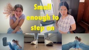 Small Enough to Step On 720