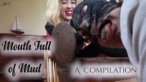 Mouth Full of Mud,  A Compilation